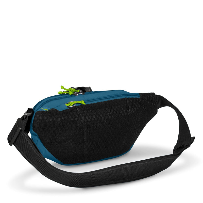 pacsafe Gürteltasche Pacsafe Eco ECONYL® Waistpack Tidal Teal | modeherz
