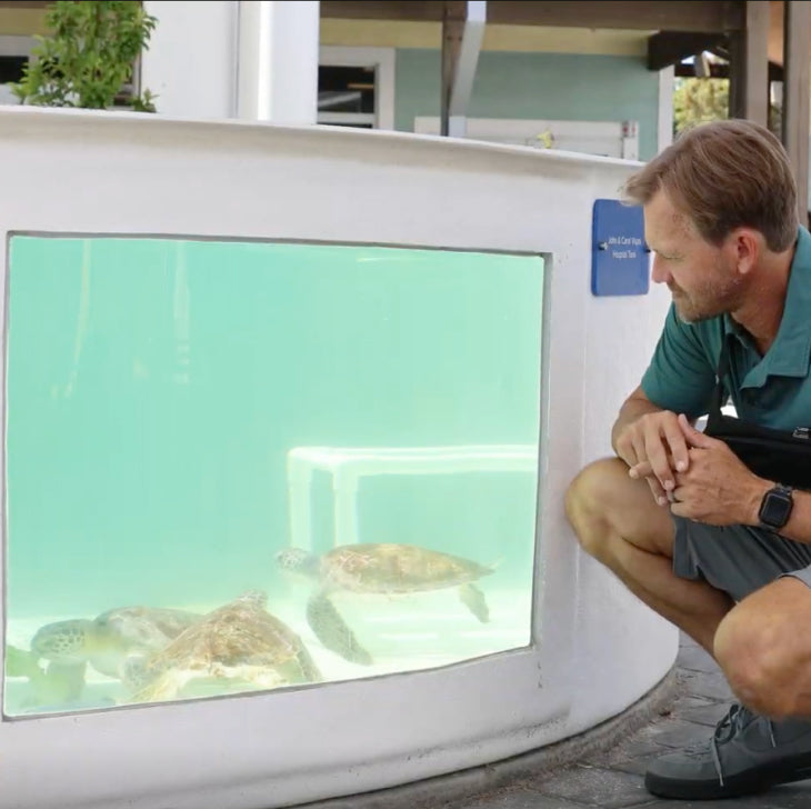 Ben Hicks watches the recovering sea turtles in a rehabilitation tank.